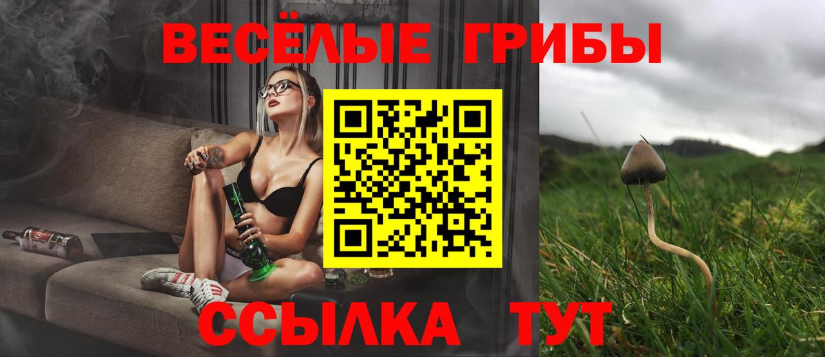 Братск  Галлюциногенные грибы Magic Shrooms  Вход с VPN  Псилоцибиновые грибы Magic Shrooms 